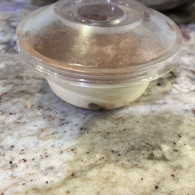 Tiramisu.